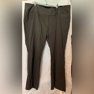 NWOT Torrid dress pants